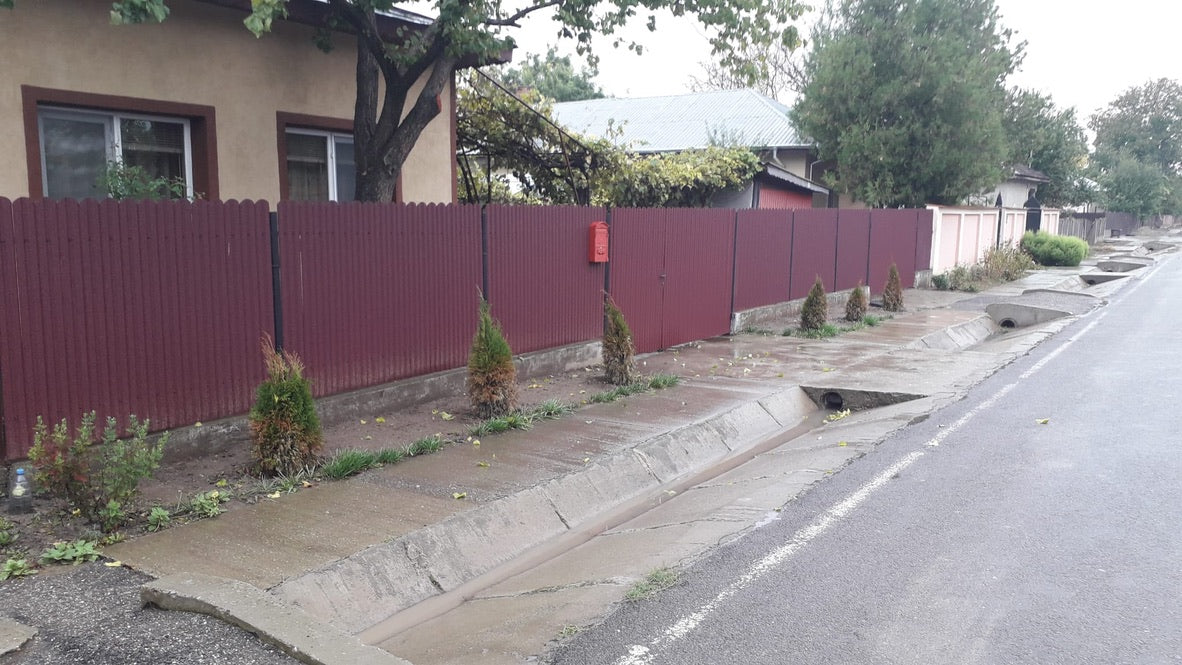 Vișina