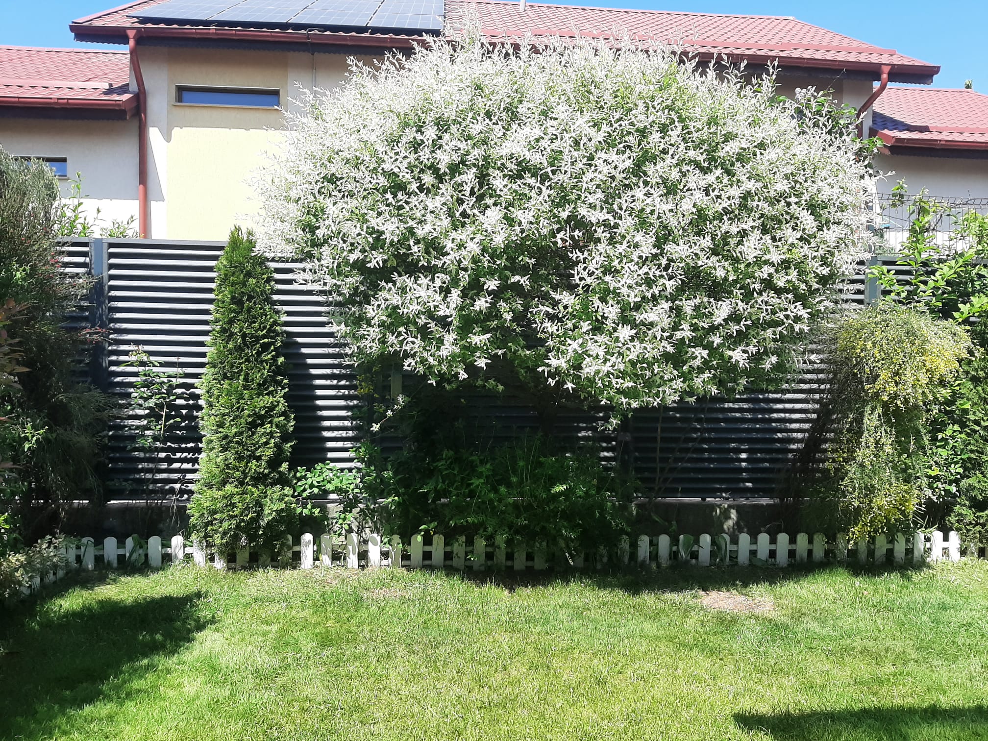 Gri Grafit Dublu