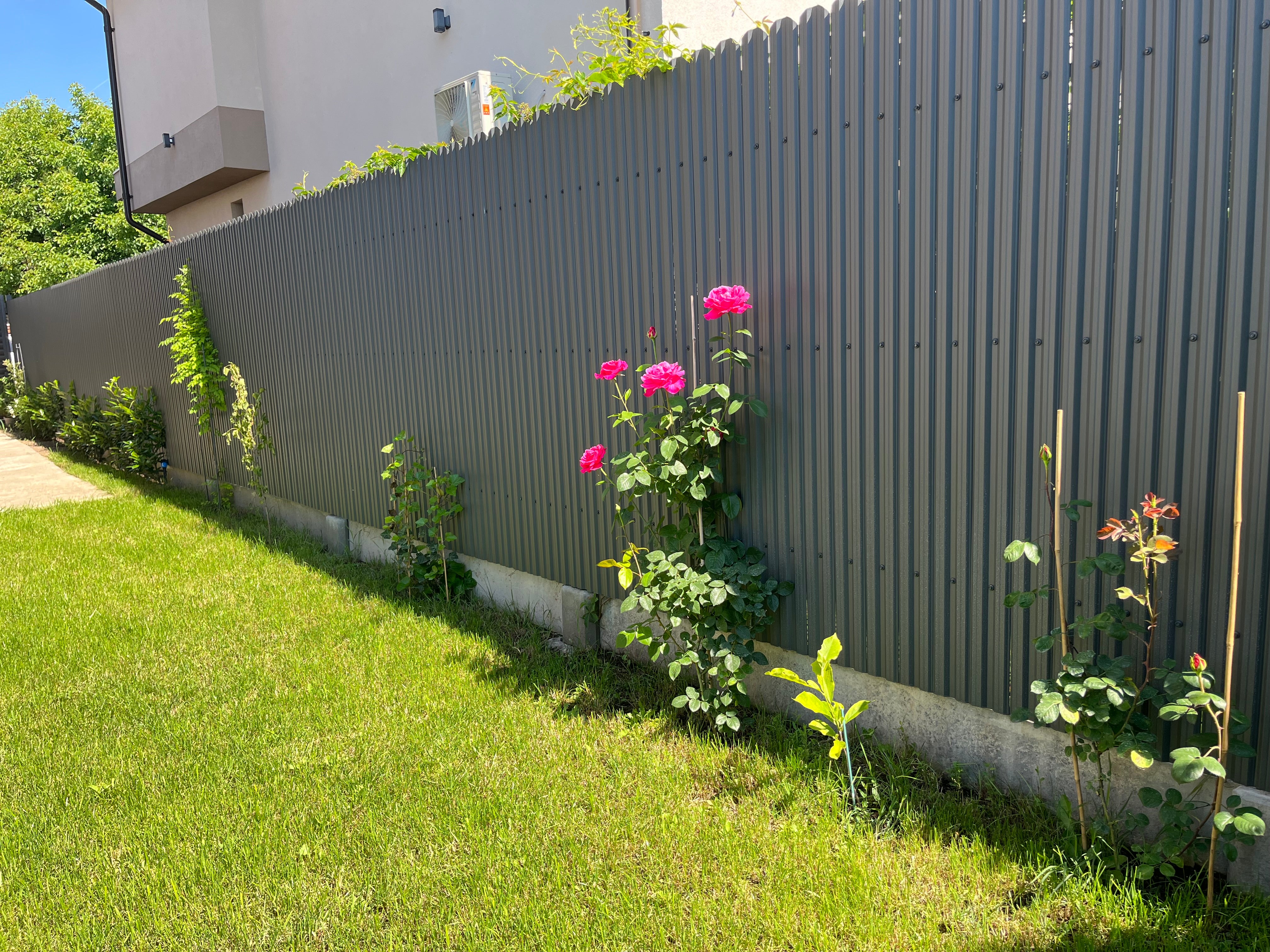 Gri Grafit Dublu