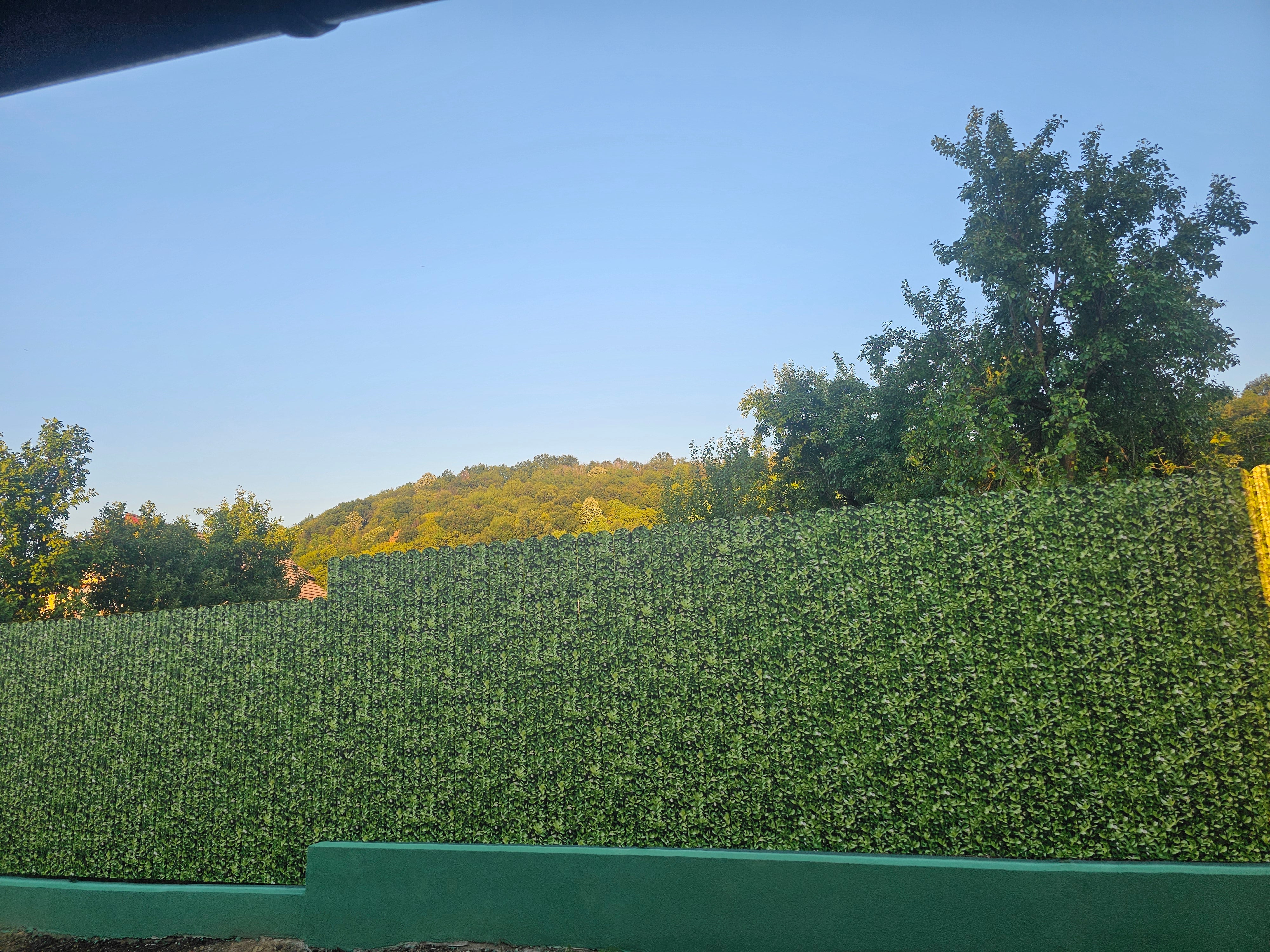 Merișor