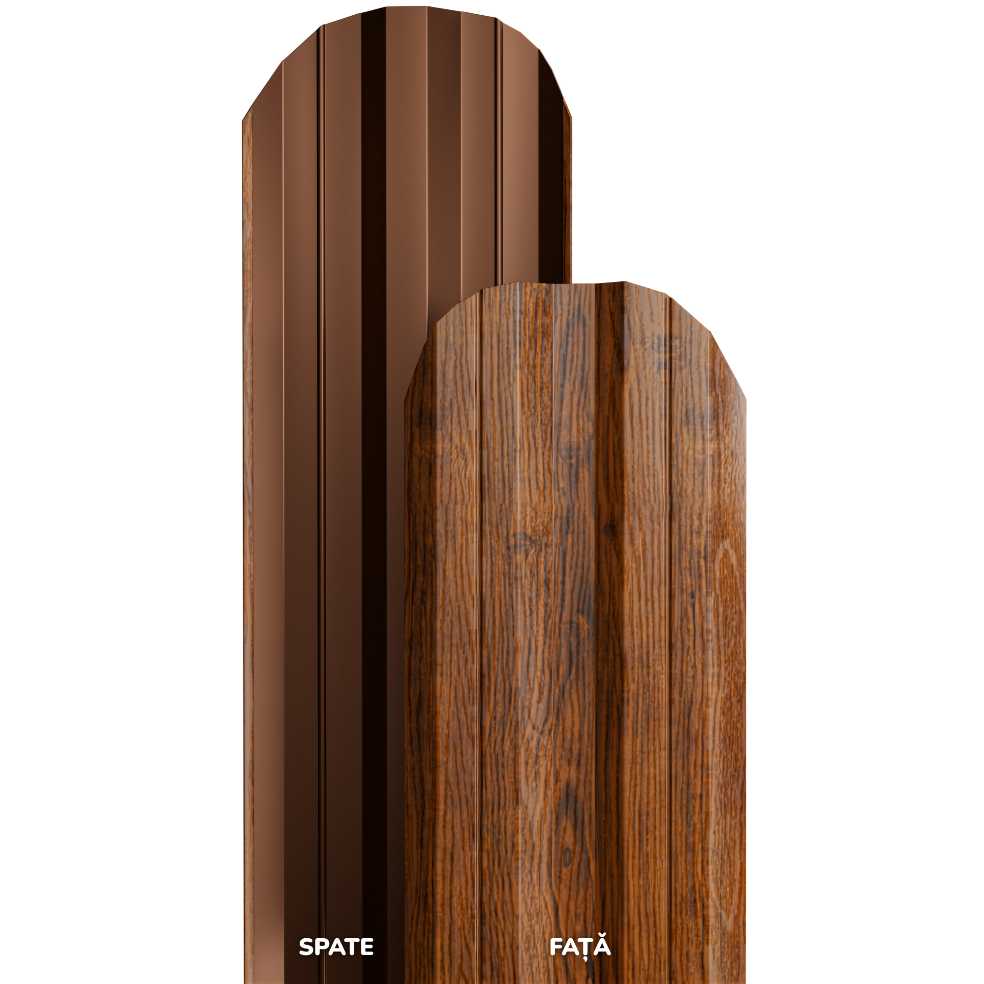 Nuc Striat