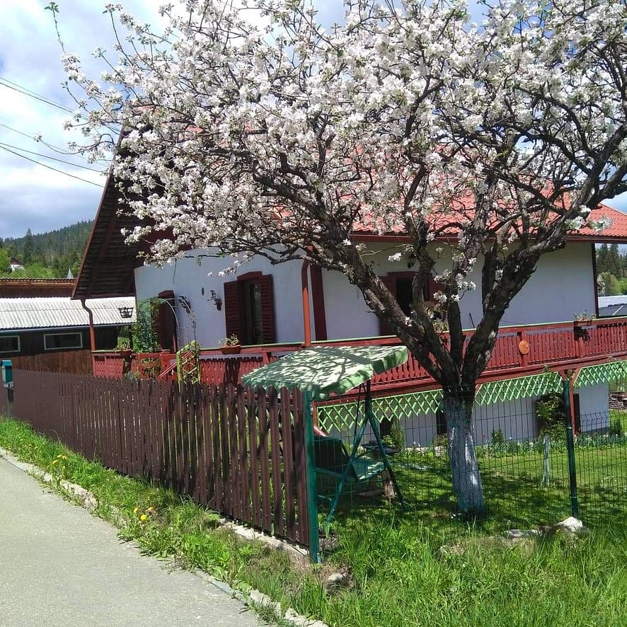 MARO CIOCOLATĂ  | RAL 8017